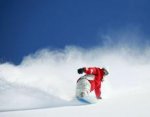 Зарождение и развитие сноубординга